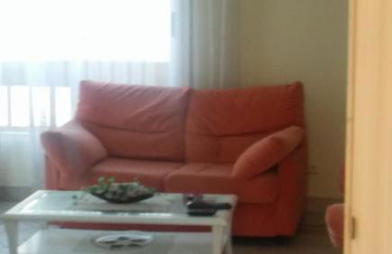 Passeig Maritim Apartment - Photo 6