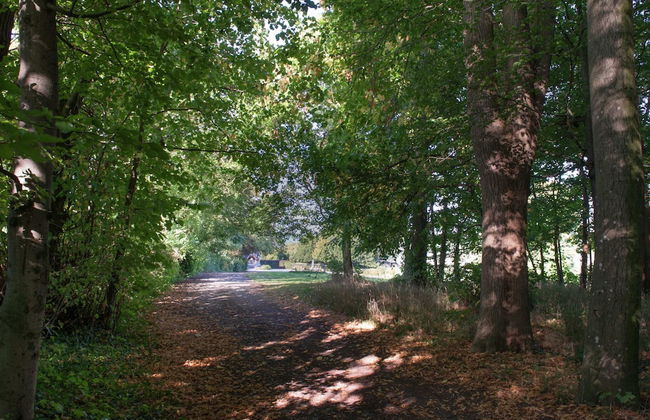 Vintage Castle in Theux With Private Pool - Photo 39