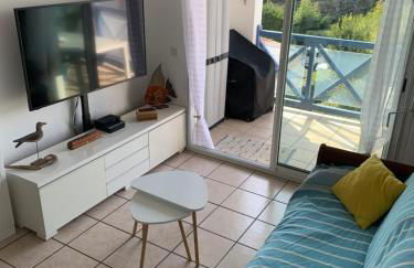 LES HAUTS DE BIANTENIA AVEC WIFi - Foto 13