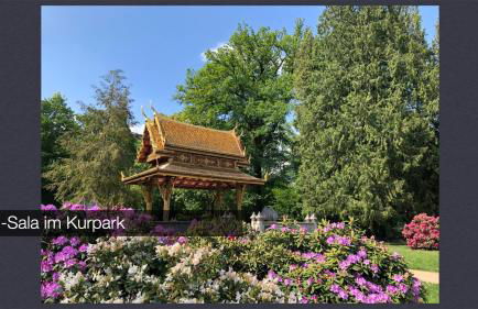 Großes und helles Innenstadt Apartment - Ferienwohnung - Foto 23