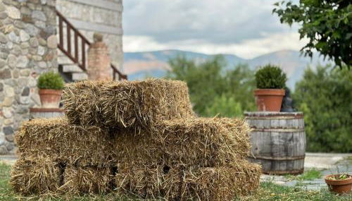 Azienda Agricola Il Querceto - Foto 5