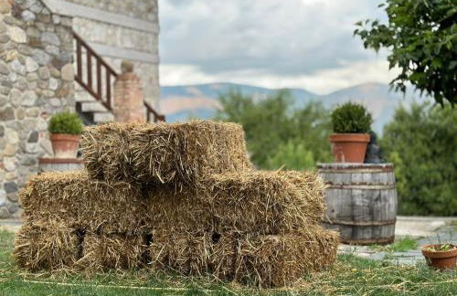 Azienda Agricola Il Querceto - Foto 5