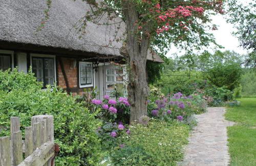Ferienwohnung in Reddelich for 4 Personen - Foto 31