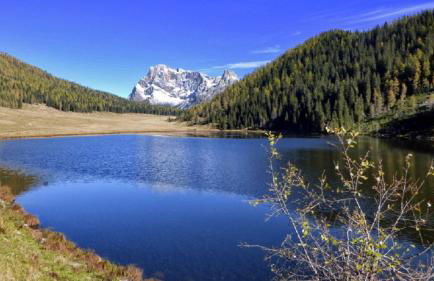 La Piccola Casa Verde - Foto 31