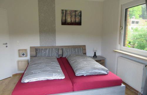 Ferienwohnungen Nibelungenwald - Foto 53