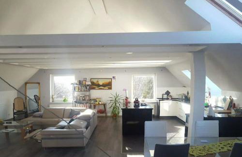 Apartamenty Holiday Slaw jacuzzi bilard - Foto 29