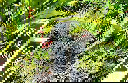 Rama Gaia Villa - Foto 33