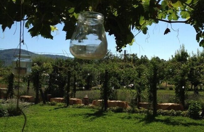 Abbazia Sette Frati Agriturismo Fratres - Photo 34