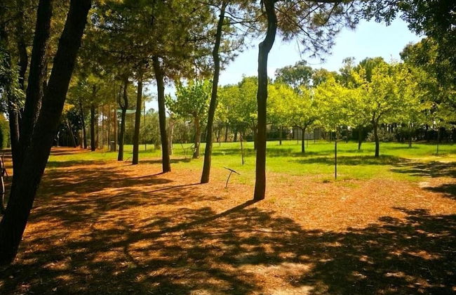 Villaggio Castelvetere - Photo 15