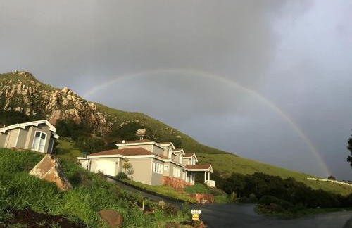 Serene Retreat in the Heart of SLO home - Foto 55