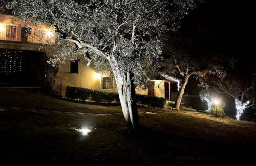 Tenuta Sant'Apollinare - Foto 54