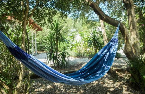 Finca Meerlust - Las Ballenas - Foto 40