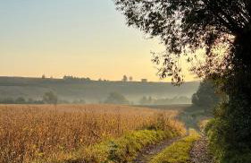 W Kręgu Natury - Foto 58