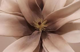 Piso C Arévalo - Foto 17