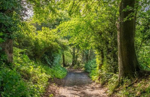 Rural perfection in Constable Country - Beachams Cottage - Foto 9