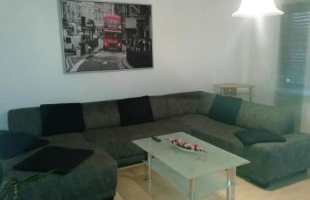 Ferienwohnung keine Monteurvermietung Nähe Heidelberg Hockenheim BDS Anlage - Foto 15