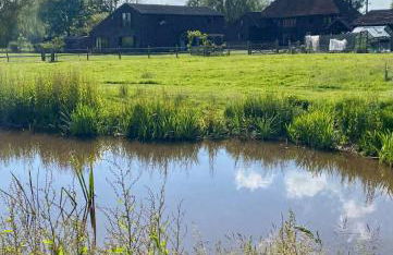 Countryside Barn Close to Kent Vineyards - Foto 10