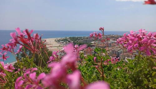 VelaLatina Residence B&B Soverato - Foto 2