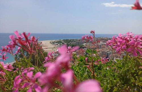 VelaLatina Residence B&B Soverato - Foto 2