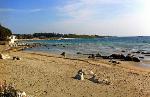 App Maria 1 - Foto 30