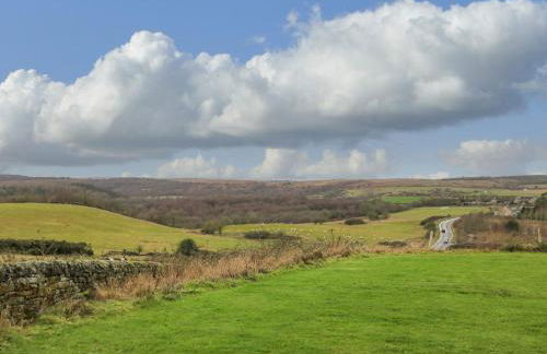 The Old Robin Hood - Foto 38