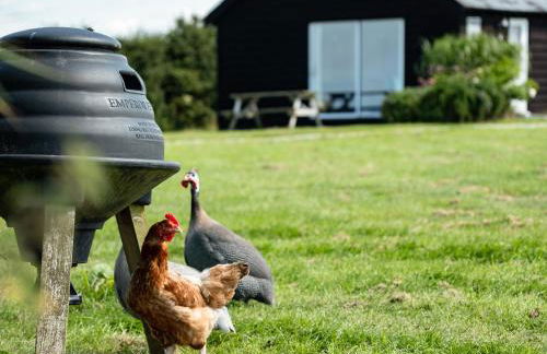 Swallow Cottage, Trewetha Farm - Photo 19