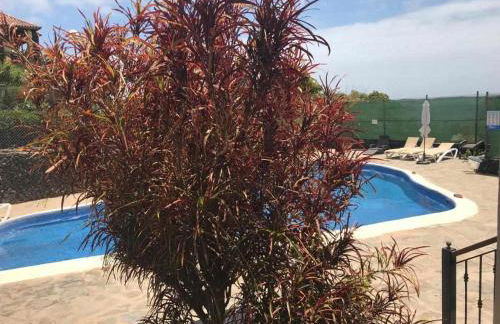 Chijere San Sebastián - Foto 39