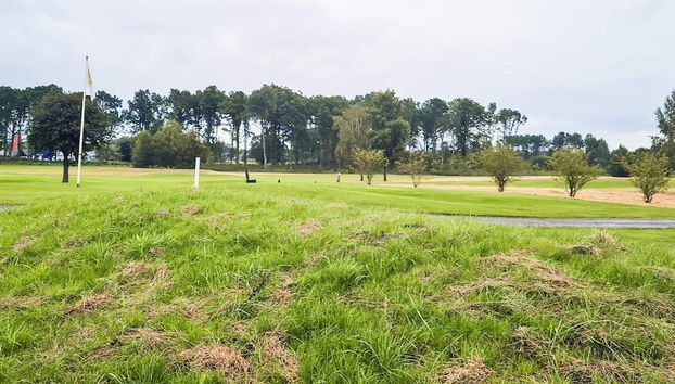 5 Person Holiday Home in Hassleholm-by Traum - Foto 4, Golf