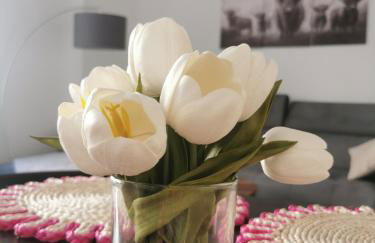 Stevenson Apartment in Oban City - Foto 1