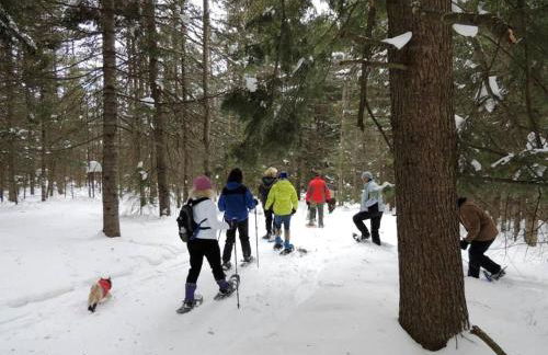 Rustic Camping Cabin with Fireplace in Private Woods near Bangor, Maine - Foto 14