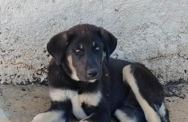 Herdade Monte Novo Do Pocinho - Foto 18