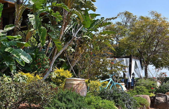 Mul Kineret Suites - Photo 36