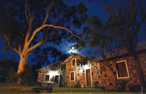 Oforasteiro - Foto 31