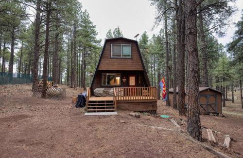 Close to Williams, Flagstaff, Grand Canyon and Sedona - Photo 20