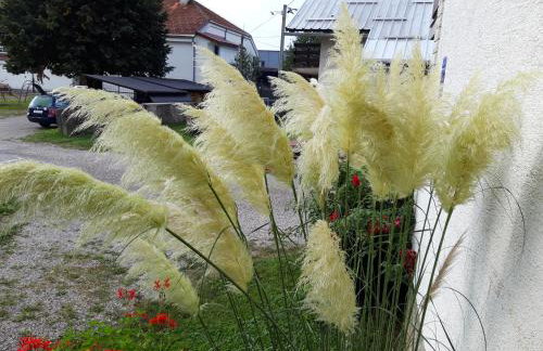 Studio apartman CENTAR - Foto 36