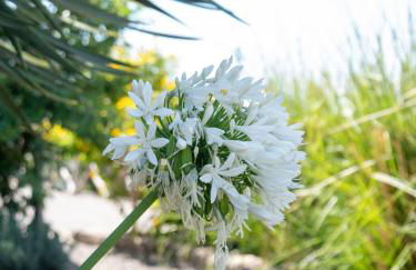 Ocean's 13 - Foto 36