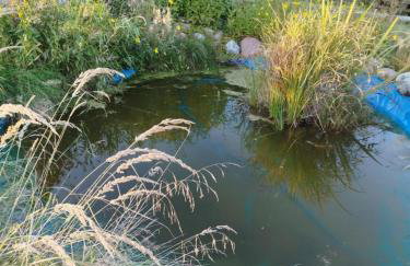 Mały Biały Domek Jeżyczki - Foto 17