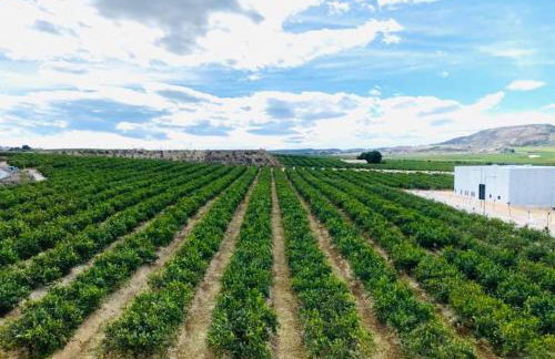 Excelente Apartamento Ático - Foto 14