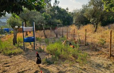 Retiro na Aldeia - Foto 20