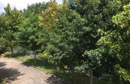 Casa de Madeira - Foto 2