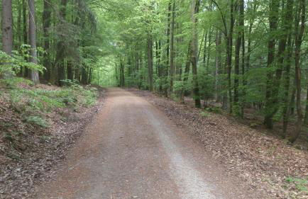 Ferienwohnung Talgrund "Im Grünen" - Foto 28