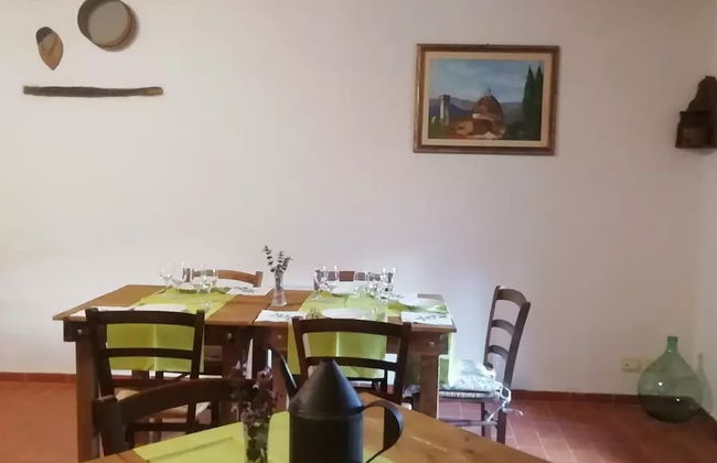 Fattoria di Cintoia - Photo 59