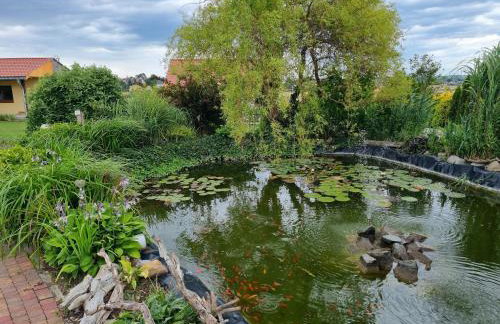 Apartament u Beti - Foto 19