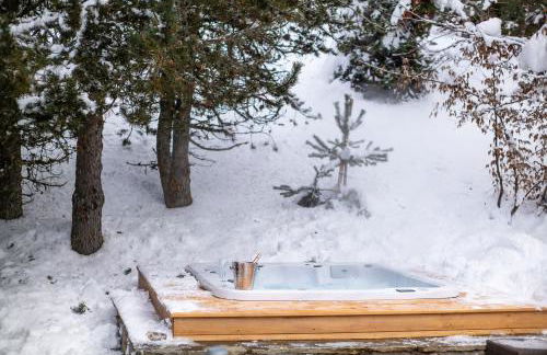 Chalet Apollo - Photo 34