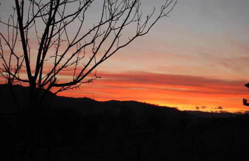 La Espinera - Foto 22