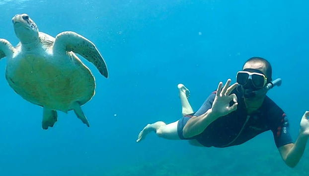 Sal Island Snorkeling Tour - Foto 5