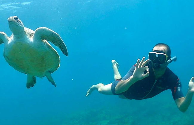Snorkel en la isla de Sal - Foto 5