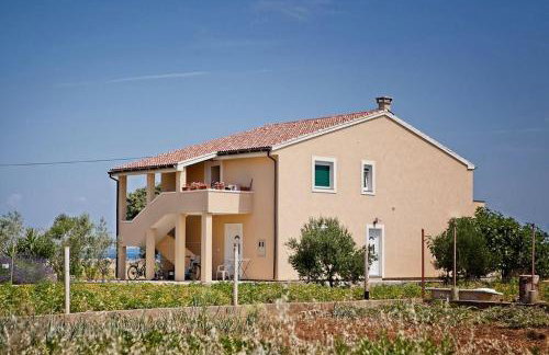 Apartment in Poljana with sea view, terrace, air conditioning, WiFi 3617-5 - Foto 1