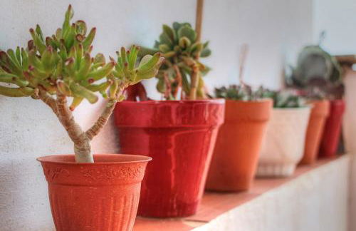 Casa Marlo, Spacious House in the Lively Centre of Cómpeta - Foto 26