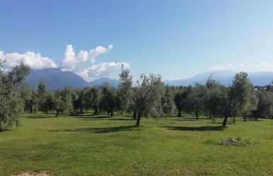 Agriturismo Fioralba - Photo 23